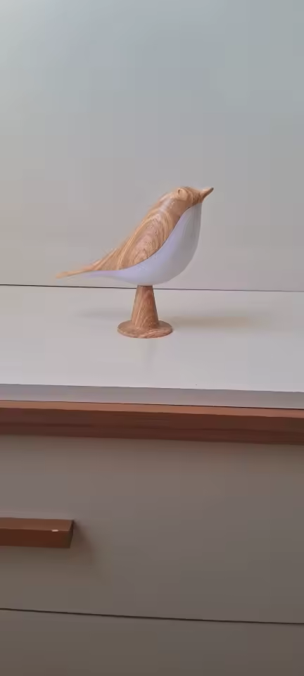 Svala i ekte hjem
